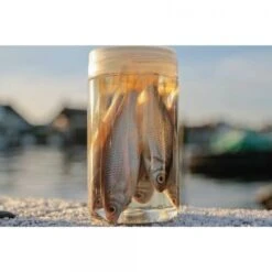 Albatros Aasvisjes Voorn -Eurotackle Verkoop 10971816652Albatros Aasvisjes Voorn