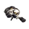Shimano Castaic 201SF -Eurotackle Verkoop 119835p 27655