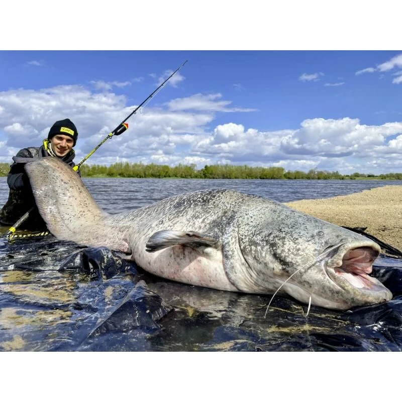 Black Cat Perfect Passion Vertical 1.80m 8 Black Cat Perfect Passion Vertical 1.80m - Afbeelding 6