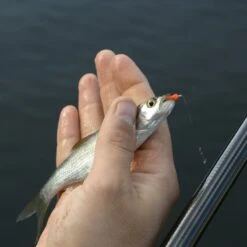 Cresta Spaghetti Worms -Eurotackle Verkoop 3953085Cresta Spaghetti Worms 4