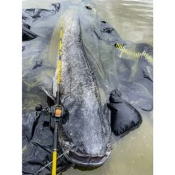 Black Cat Cast 301LH Reel 16 Black Cat Cast 301LH Reel -Eurotackle Verkoop 4017421Black Cat Cast 301LH Reel 6