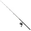 Penn Legion Cat Bronze Vertical Combo -Eurotackle Verkoop 5039894Penn Legion Cat Bronze Vertical Combo