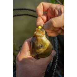 Sonubaits Spike'Um Wafter 8mm 13 Sonubaits Spike'Um Wafter 8mm -Eurotackle Verkoop 6281717Sonubaits Spike Um Wafter 8mm 3